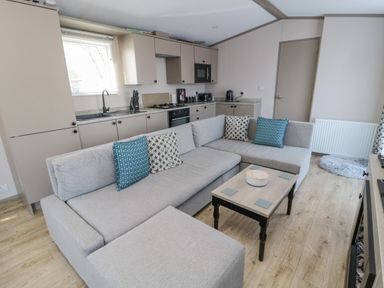 An open plan kitchen and living room with a gray sectional sofa and small coffee table at Dreams & Streams Bockenfield Country Park near West Thirston