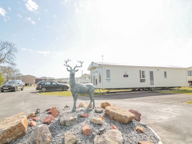 A metal stag statue on a rock bed in front of a mobile home at Dreams  Streams in Bockenfield Country Park near West Thirston