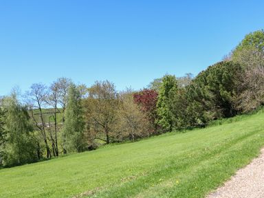 A grassy field with trees along the edge and a gravel path on the right at Little Barton in Stogumber near Watchet