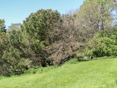 A grassy area with trees and a wooden deck with chairs at Little Barton in Stogumber near Watchet
