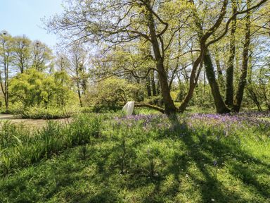 A grassy area with purple flowers and trees by a pond at Little Barton in Stogumber near Watchet