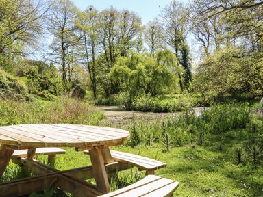 A wooden picnic table beside a pond surrounded by trees and greenery at Little Barton in Stogumber near Watchet