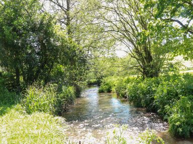 A small stream surrounded by green trees and foliage at Little Barton in Stogumber near Watchet