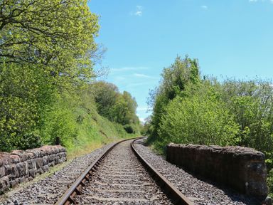 Railway tracks with stone walls covered by trees and bushes under a clear sky at Little Barton in Stogumber near Watchet