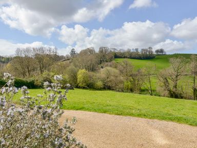 A grassy field with trees and hills under a cloudy sky at Little Barton in Stogumber near Watchet