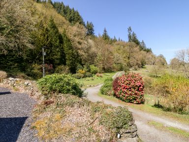 A driveway with bushes and trees along a hillside in a rural setting at Greffyn in Betws-Y-Coed