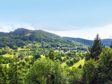 A landscape view of hills and forest at Greffyn in Betws-Y-Coed