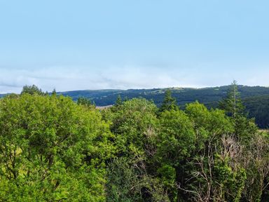 A landscape view of trees and hills at Greffyn in Betws-Y-Coed