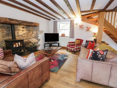 A living room with a fireplace and sofa at Greffyn in Betws-Y-Coed
