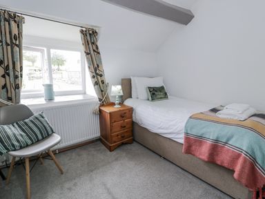 A bedroom with a single bed and nightstand at Orsedd Wen Farmhouse in Betws-Y-Coed