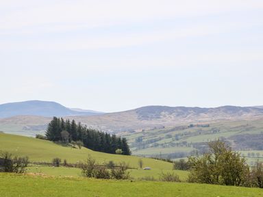 A green hilly landscape with scattered trees and sheep at Orsedd Wen Cottage in Betws-Y-Coed