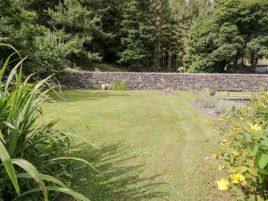 A garden with grass and a stone wall at Pengwern Bach in Llanrwst