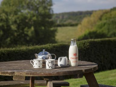 A wooden outdoor table with a teapot two mugs a milk jug and a bottle of Churchfields milk in a garden