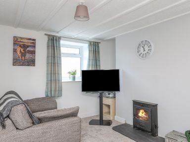 A living room with a sofa a television on a stand a fireplace and a window with curtains at Oscars Pad in Brynsiencyn