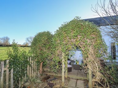An outdoor patio with wicker furniture under leafy arches next to a white building at Oscars Pad in Brynsiencyn
