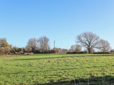 A grassy field with leafless trees and a power pole under a clear sky at Oscars Pad in Brynsiencyn
