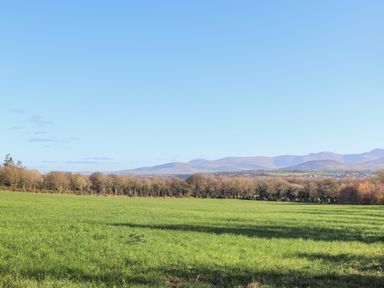 A grassy field with trees and hills in the background at Oscars Pad in Brynsiencyn