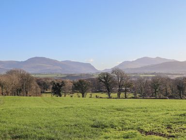 A grassy field with trees and mountains under a clear sky at Oscars Pad in Brynsiencyn