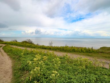 A coastal path with green plants and yellow flowers overlooking the sea under a partly cloudy sky at Chalet 126a in Cromer
