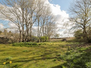 An outdoor garden area with grass trees and flowers near a wooden fence at Rose Cottage Akeld near Wooler