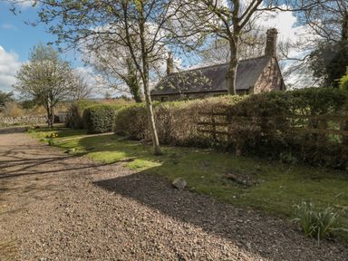 A gravel driveway with trees and hedges beside a stone cottage at Rose Cottage in Akeld near Wooler