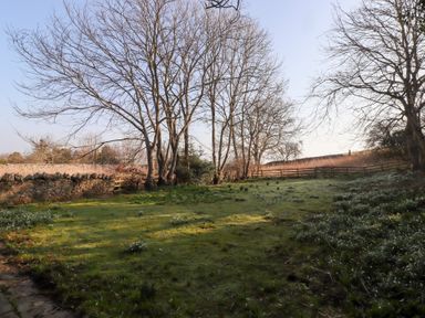 A garden with trees grass and a stone wall at Rose Cottage in Akeld near Wooler