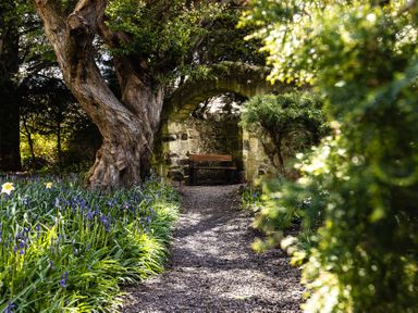A garden with a pathway and a bench at Tile Rouge in Wooler