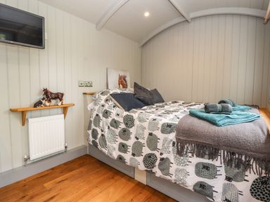A bedroom with a bed covered in patterned bedding and towels folded on top a wall-mounted television and a small shelf with decorative animal figurines