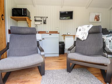 A small room with two gray chairs a kitchenette with a microwave mounted on a shelf a wall-mounted TV and a heater at The Moorhen Retreat in Nantmawr near Trefonen