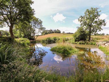 A small pond surrounded by grass and trees with fields and a partly cloudy sky in the background at The Moorhen Retreat in Nantmawr near Trefonen