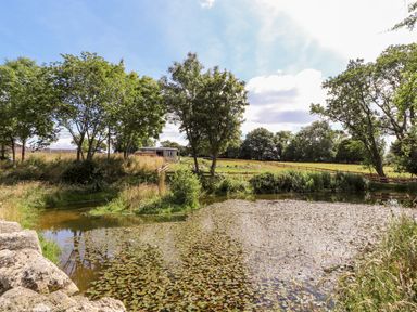 A pond with lily pads surrounded by trees and grassy fields at The Moorhen Retreat in Nantmawr near Trefonen