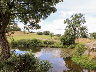 A pond surrounded by trees and bushes with a grassy field and dirt path in the background at The Moorhen Retreat in Nantmawr near Trefonen