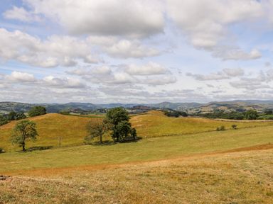 A rural landscape with grassy hills trees and cloudy sky at The Moorhen Retreat in Nantmawr near Trefonen