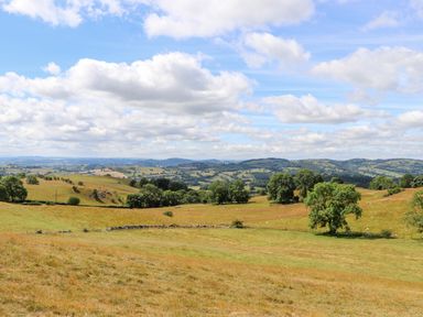 A rural landscape with grassy fields scattered trees and distant hills under a partly cloudy sky at The Moorhen Retreat in Nantmawr near Trefonen