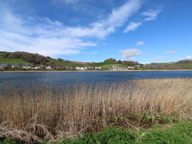 A body of water with reeds in the foreground and houses on green hills in the background at Wrens Nest in Slapton