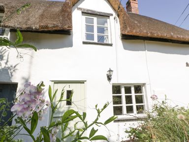 A white cottage with a thatched roof green door and flowers in the garden at 1 Old Thatch Kilve