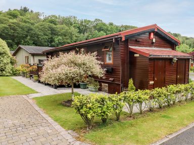 A wooden cabin with a red roof surrounded by a paved path bushes and trees at Heritage Park Stepaside near Kilgetty