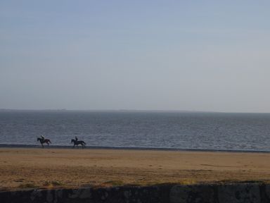 Two horseback riders on a sandy beach near a large body of water at Apartment One in Duncannon County Wexford