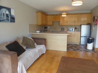 A kitchen and living area with a sofa and cabinets at Apartment One in Duncannon County Wexford