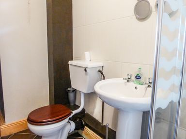 A bathroom with a toilet with a wooden seat a pedestal sink with soap and a shower with a glass door at Apartment One in Duncannon County Wexford