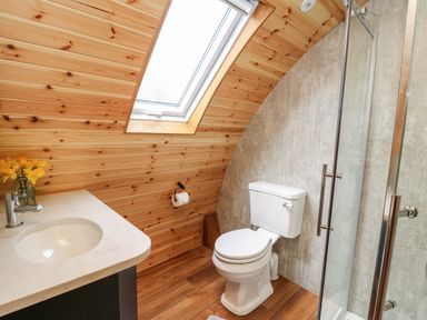 A bathroom with a toilet sink shower wooden walls and a skylight window at Bluebell in St Harmon near Rhayader