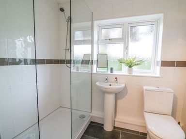 A bathroom with a shower, sink, toilet, and a window with a plant on the sill at Ger Yr Afon Cottage in St Harmon near Rhayader