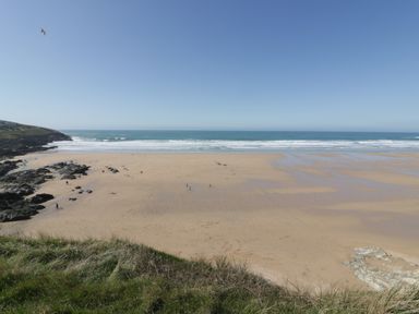 A sandy beach with people walking near the shoreline and grassy cliffs in the foreground at Fistral Drift in Newquay