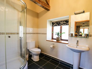 A bathroom with a shower enclosure toilet sink and a window with a plant on the sill at Golwg Las in Pumsaint near Lampeter