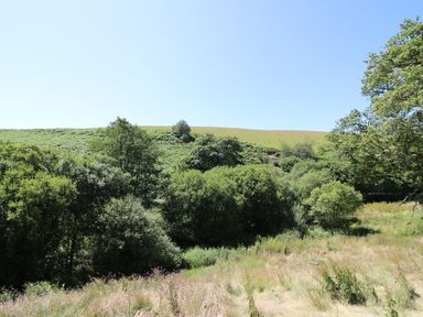 A grassy field with green trees and bushes under a clear blue sky at Golwg Las in Pumsaint near Lampeter