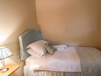 A single bed with pillows a lamp on a wooden bedside table in a bedroom at Nant Glas in Pumpsaint near Lampeter