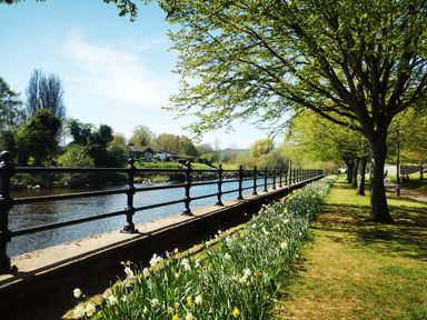 A riverside path with a row of trees and daffodils next to a metal railing along the water at Kooky Cottage in Brecon