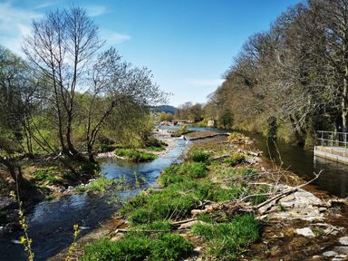 A river flowing through a landscape with trees and vegetation on both sides at Kooky Cottage in Brecon
