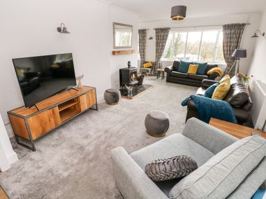 A living room with sofas a television and a wood stove at The Dingle in Wisemans Bridge near Stepaside