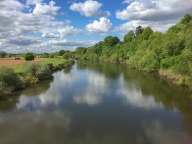 A river surrounded by green trees and fields under a blue sky with clouds at Runnymede in Tewkesbury